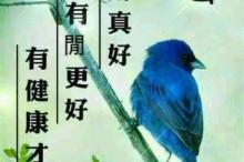 鸿雁歌词