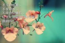 核桃编程品牌宣传存误导？消费者投诉：推销成骚扰